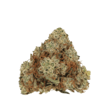 Cannamedical Hybrid Forte DK 22/1 Ghost Train Haze